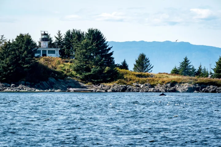 Small lighthouse on a rocky coastal island with trees and distant mountains, sea in the foreground.