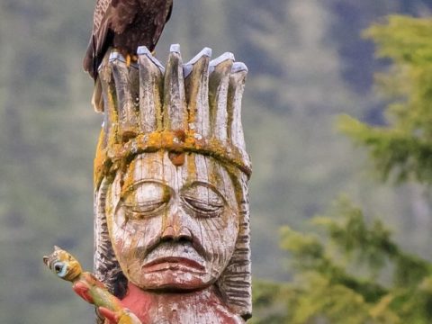 American Bald Eagle atop worlds largest totem pole. Photo by Rich Rijinders Photography